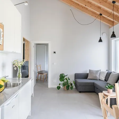 Apartment Bao 4 / Con Terraza